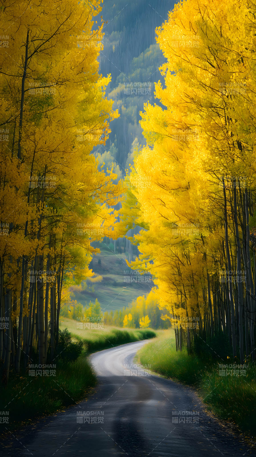 秋日金黄的林间小路图片