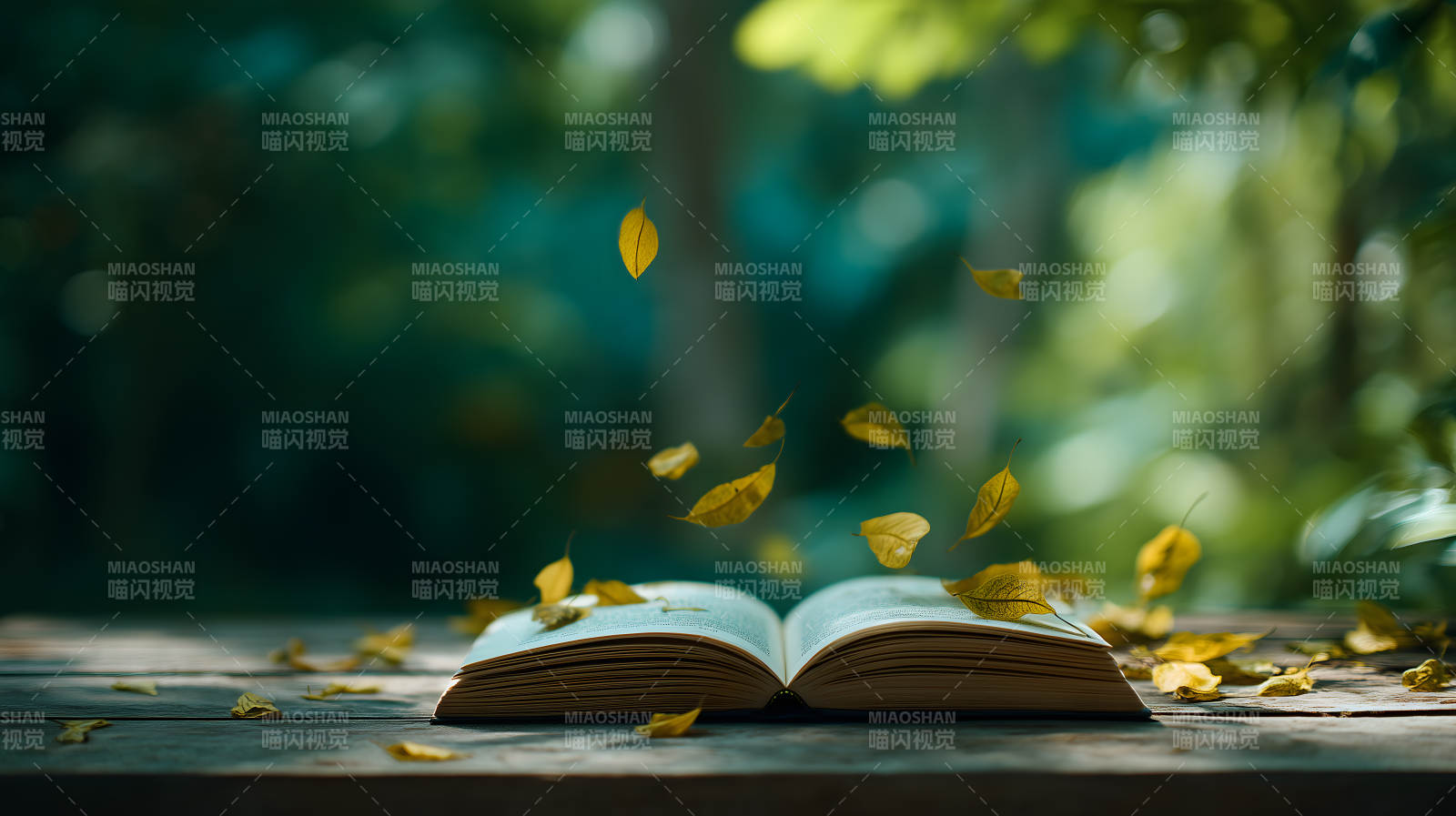 秋叶飘落书页间图片