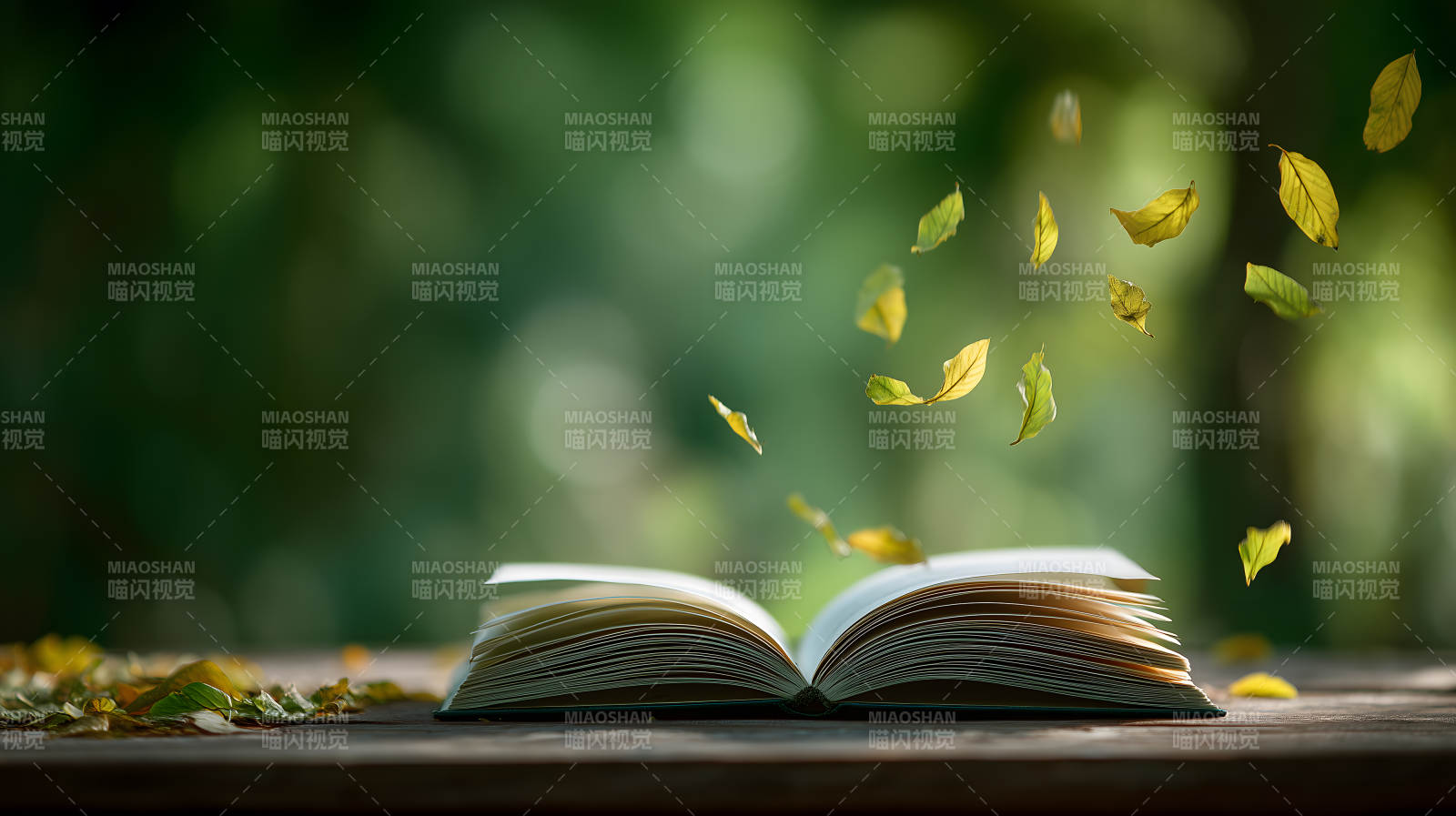 秋叶飘落书页翻开图片