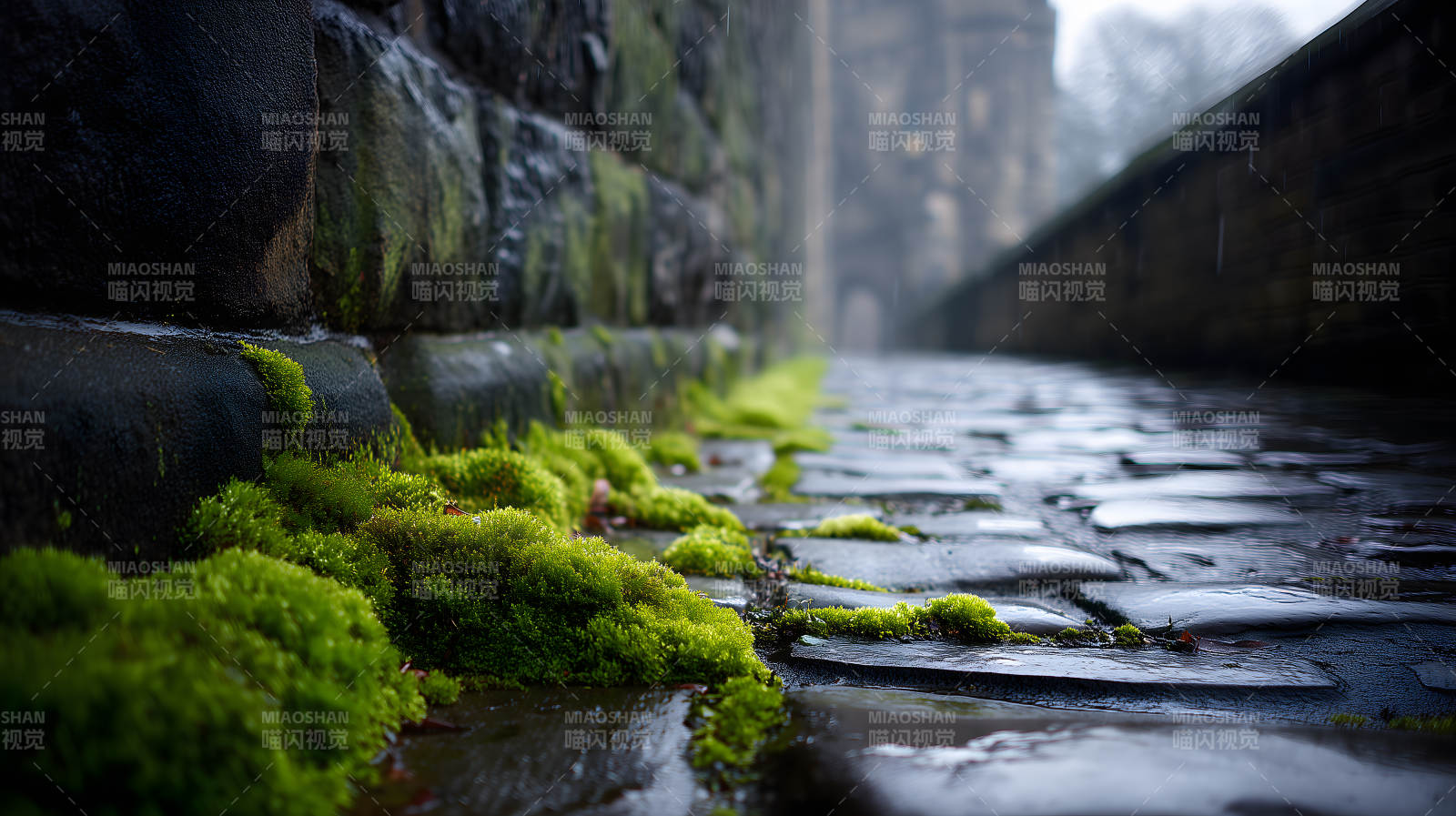 雨后青苔石板路图片