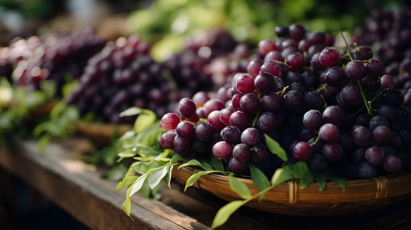 新鲜诱人的红提葡萄图片