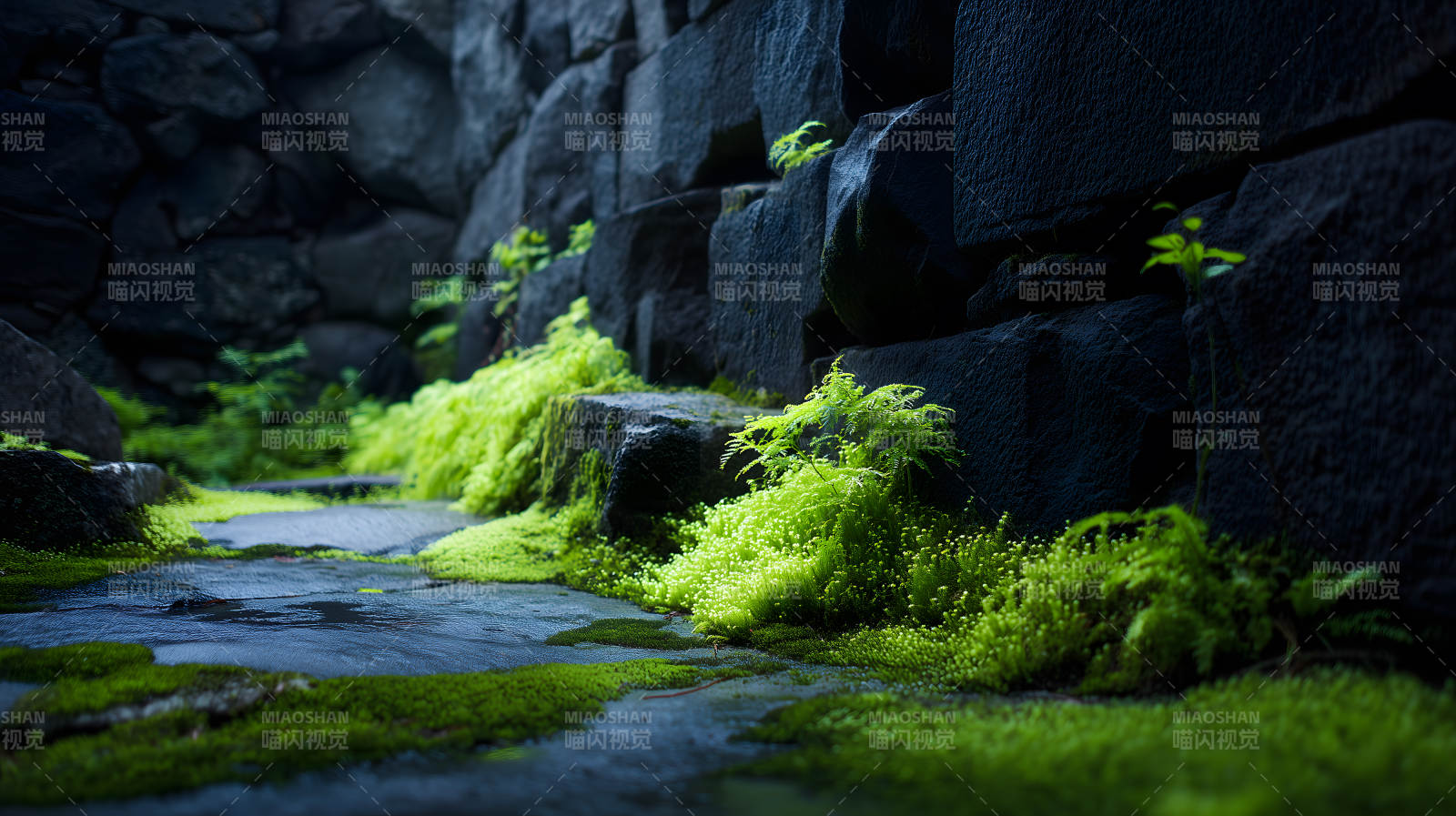 青苔石墙间的宁静角落图片