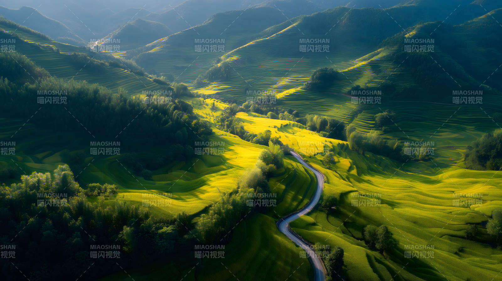 蜿蜒山路与金黄梯田图片