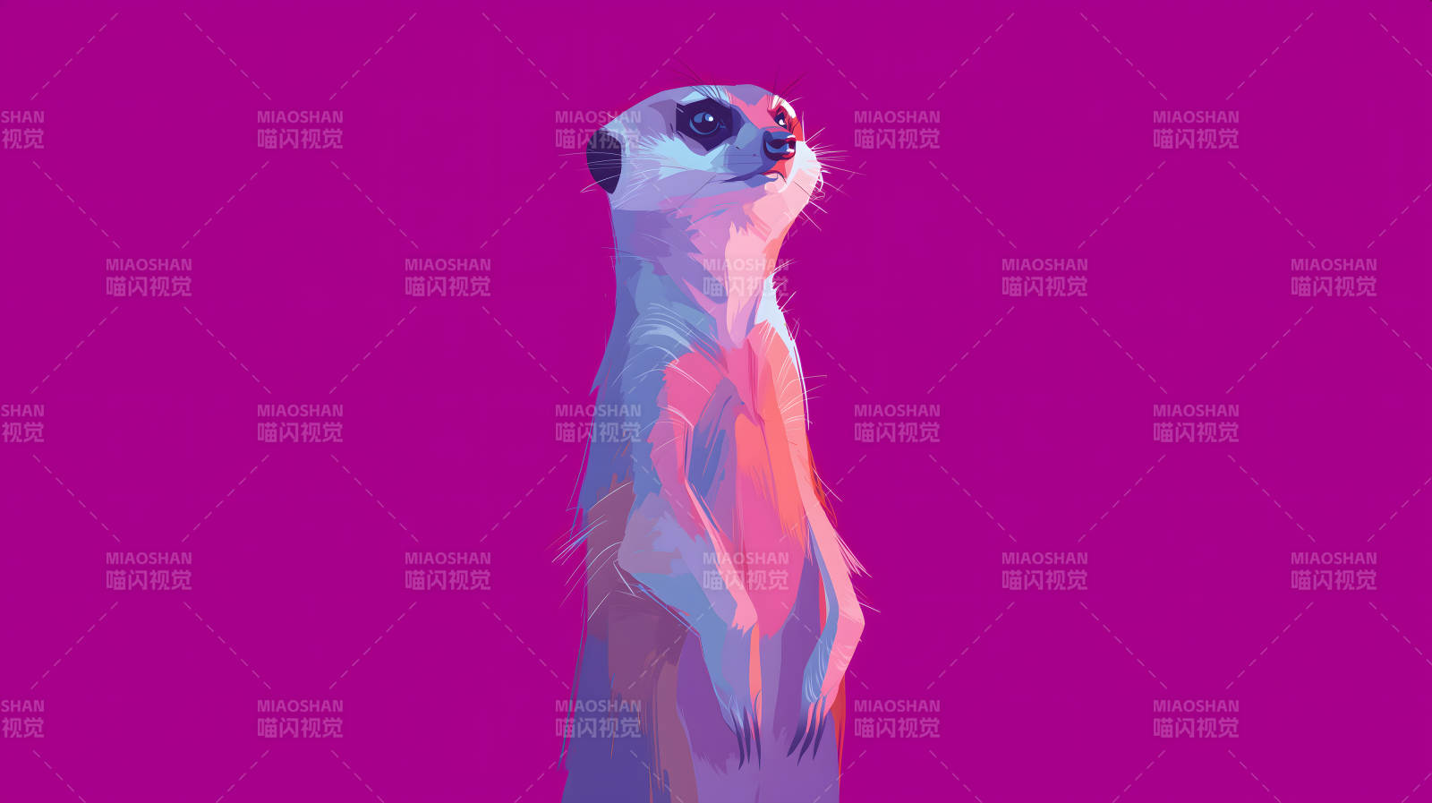 紫色背景下的站立的狐獴图片