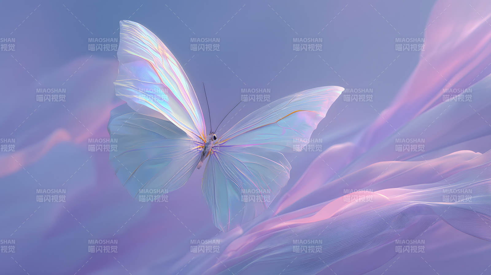 梦幻紫罗兰蝴蝶轻舞图片