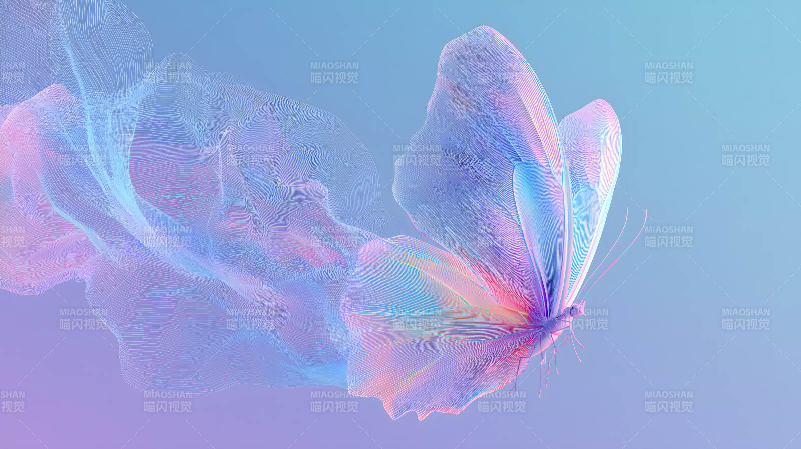 梦幻轻盈的彩蝶飞舞图片