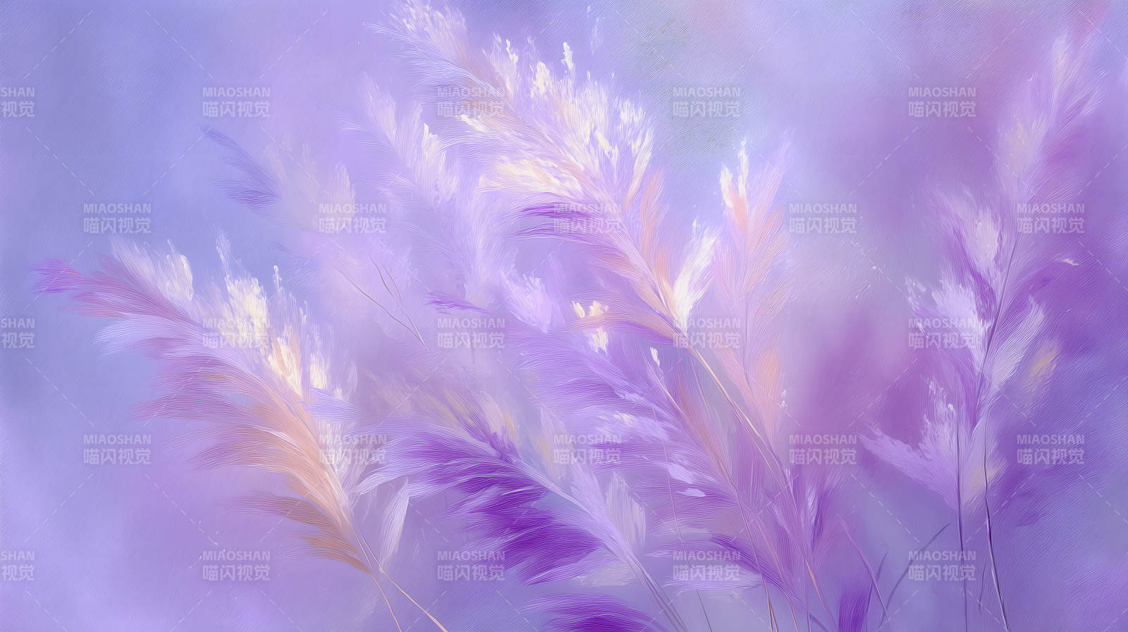 梦幻紫色的羽毛花束图片