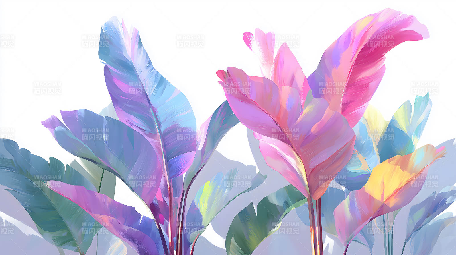 梦幻般的热带植物叶片图片