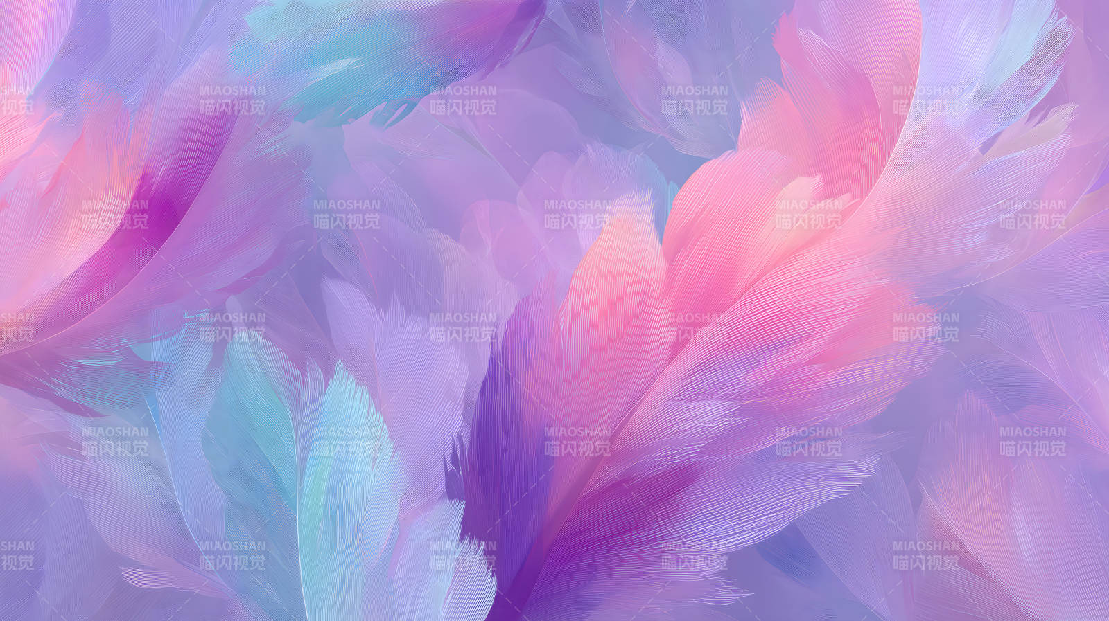 梦幻般的羽毛轻柔飘逸图片