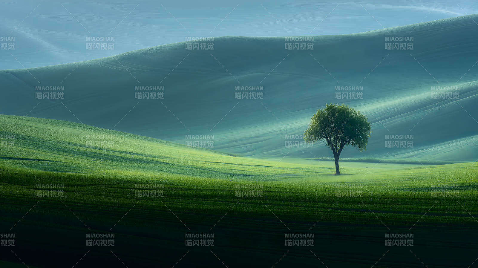 孤独树木与绿色丘陵图片