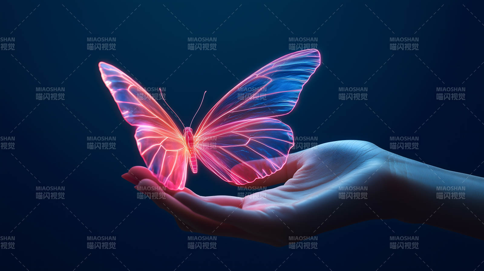 霓虹蝴蝶轻落掌心图片