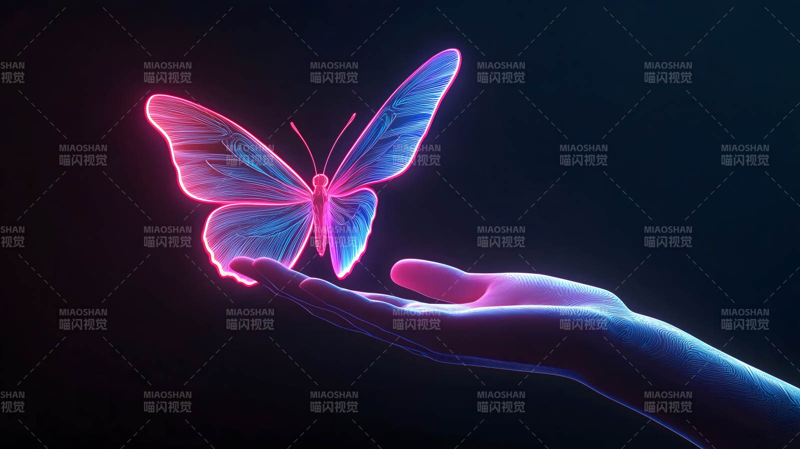 霓虹蝴蝶与温柔之手图片