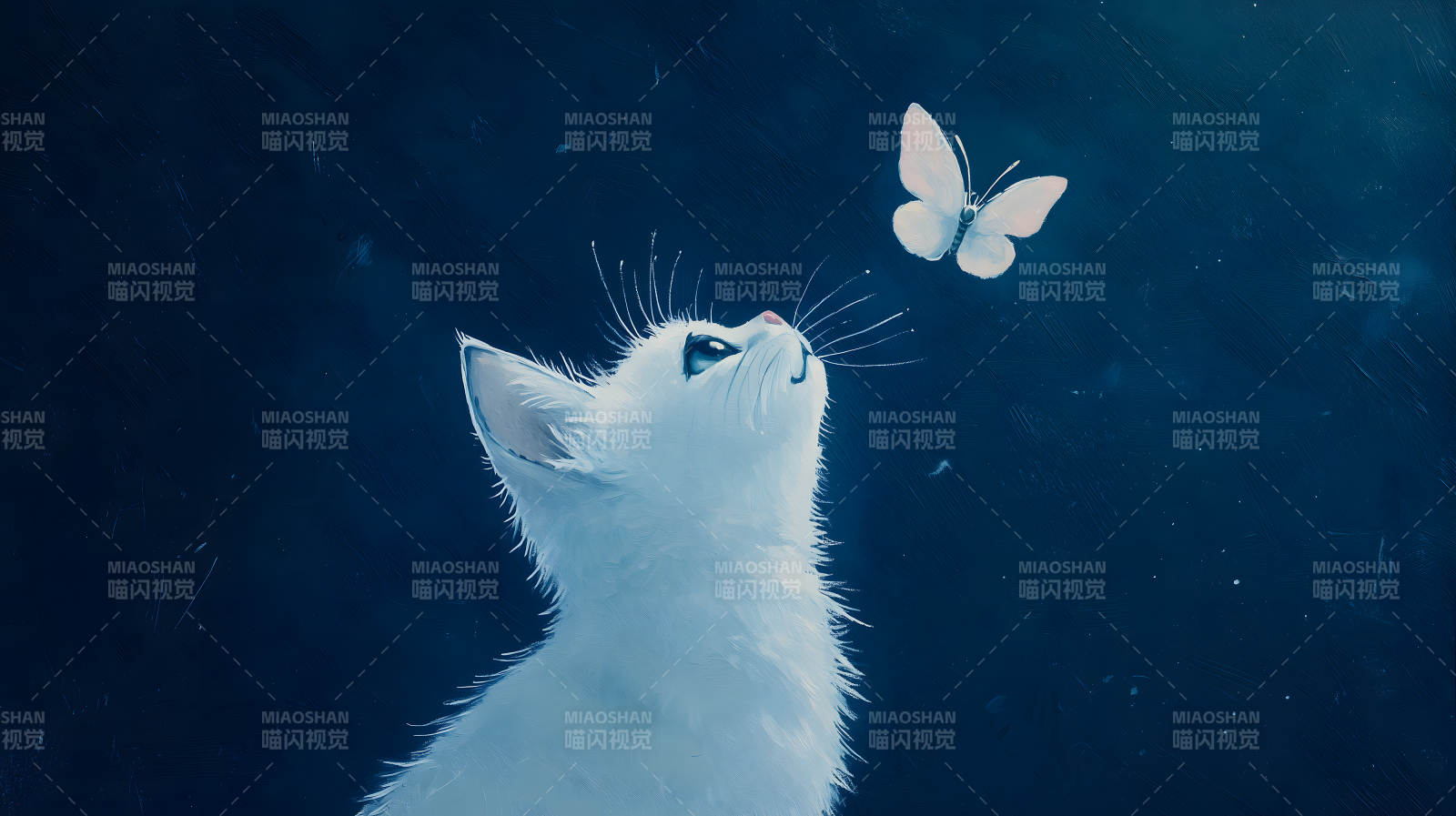 猫咪与蝴蝶图片