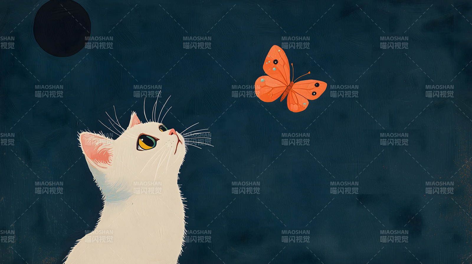 猫咪仰望飞舞的蝴蝶图片