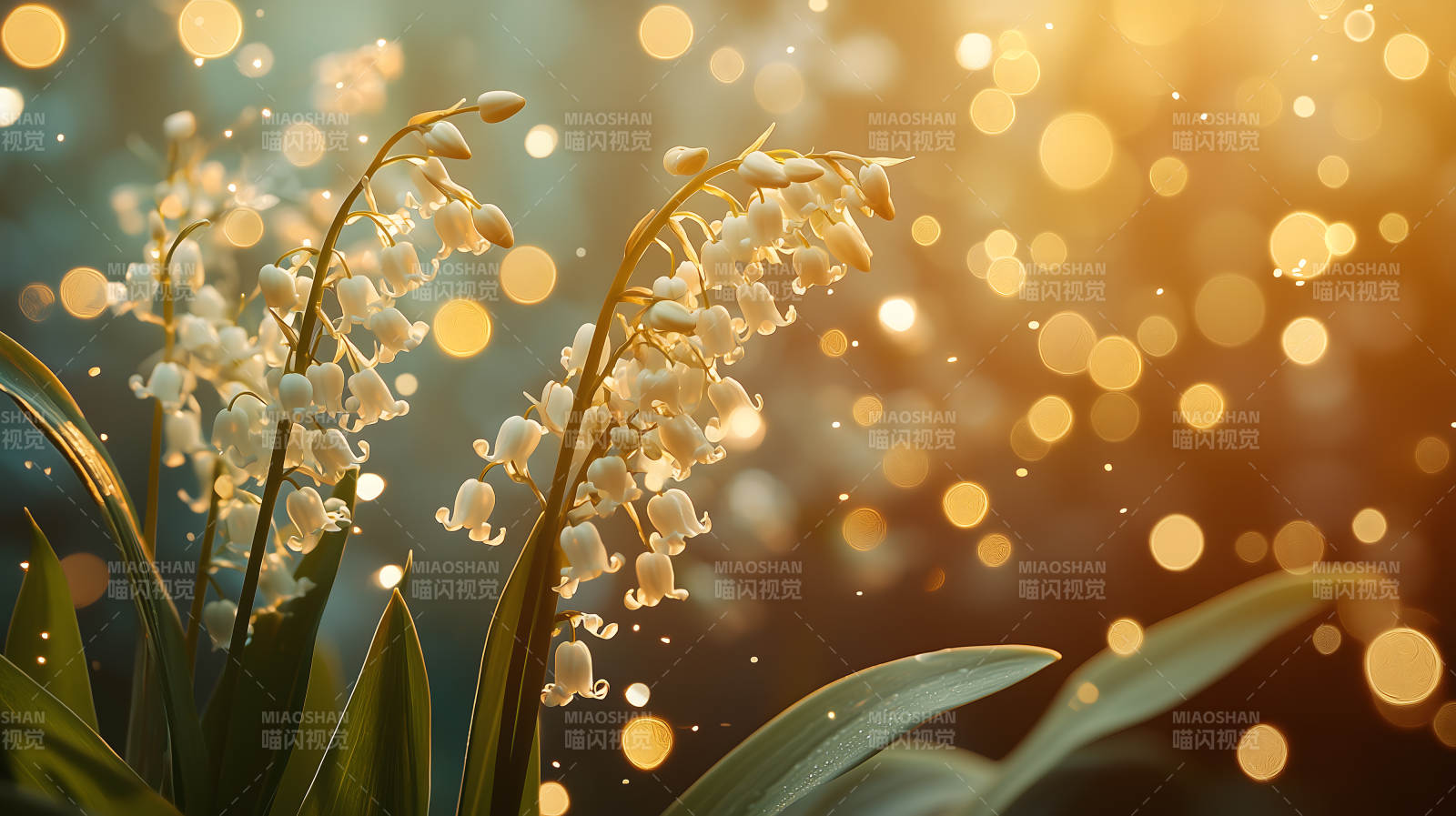 梦幻铃兰花图片