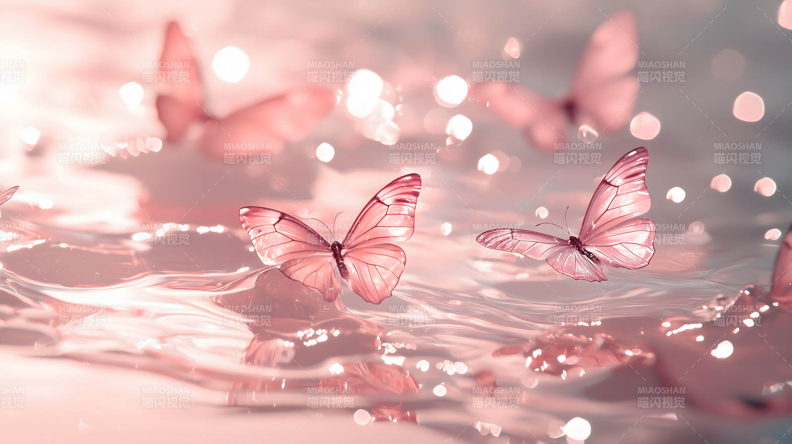 粉色蝴蝶与波光粼粼的水面图片
