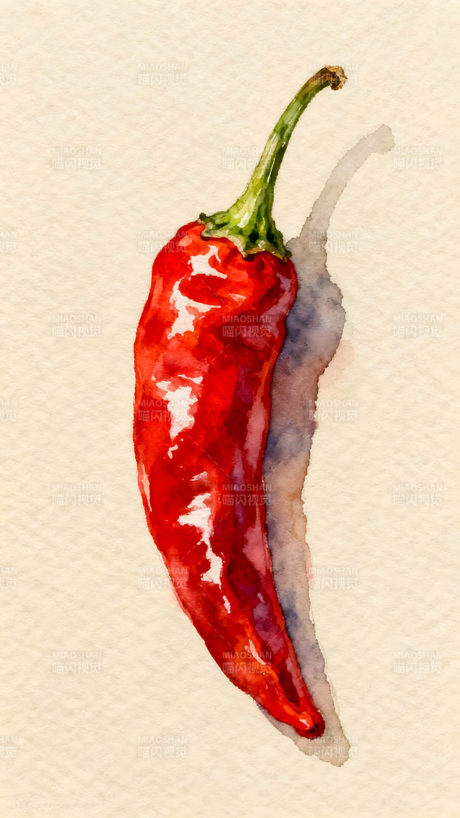 红辣椒水彩画色彩鲜艳细节丰富图片