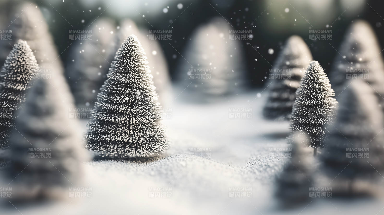 冬日雪景中的迷你松树林图片