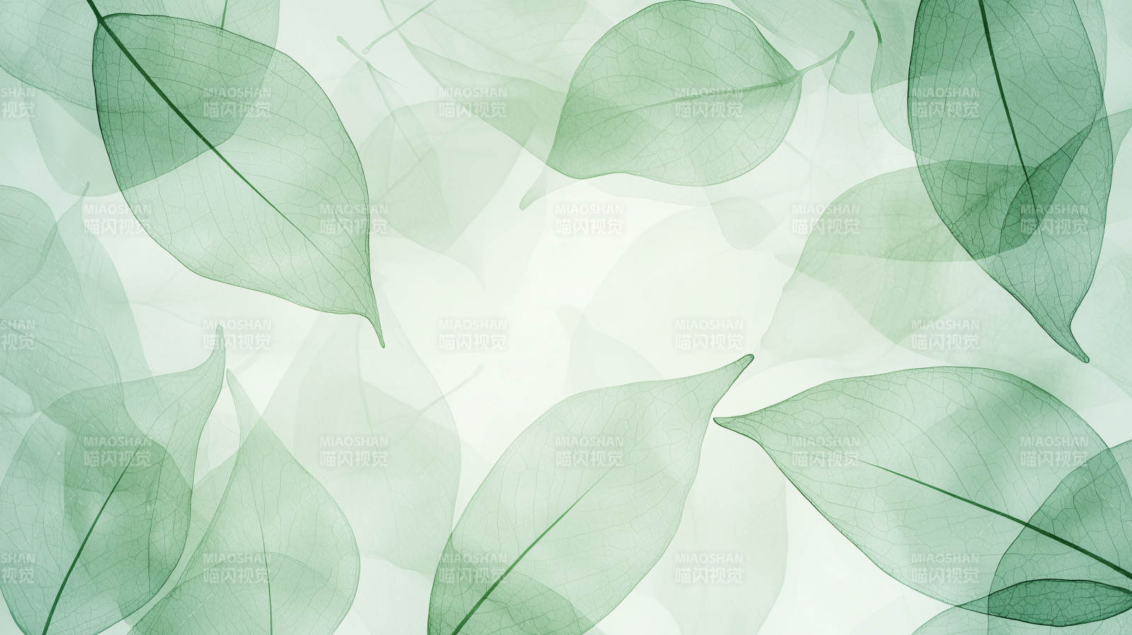 静谧蓝绿叶背景图图片