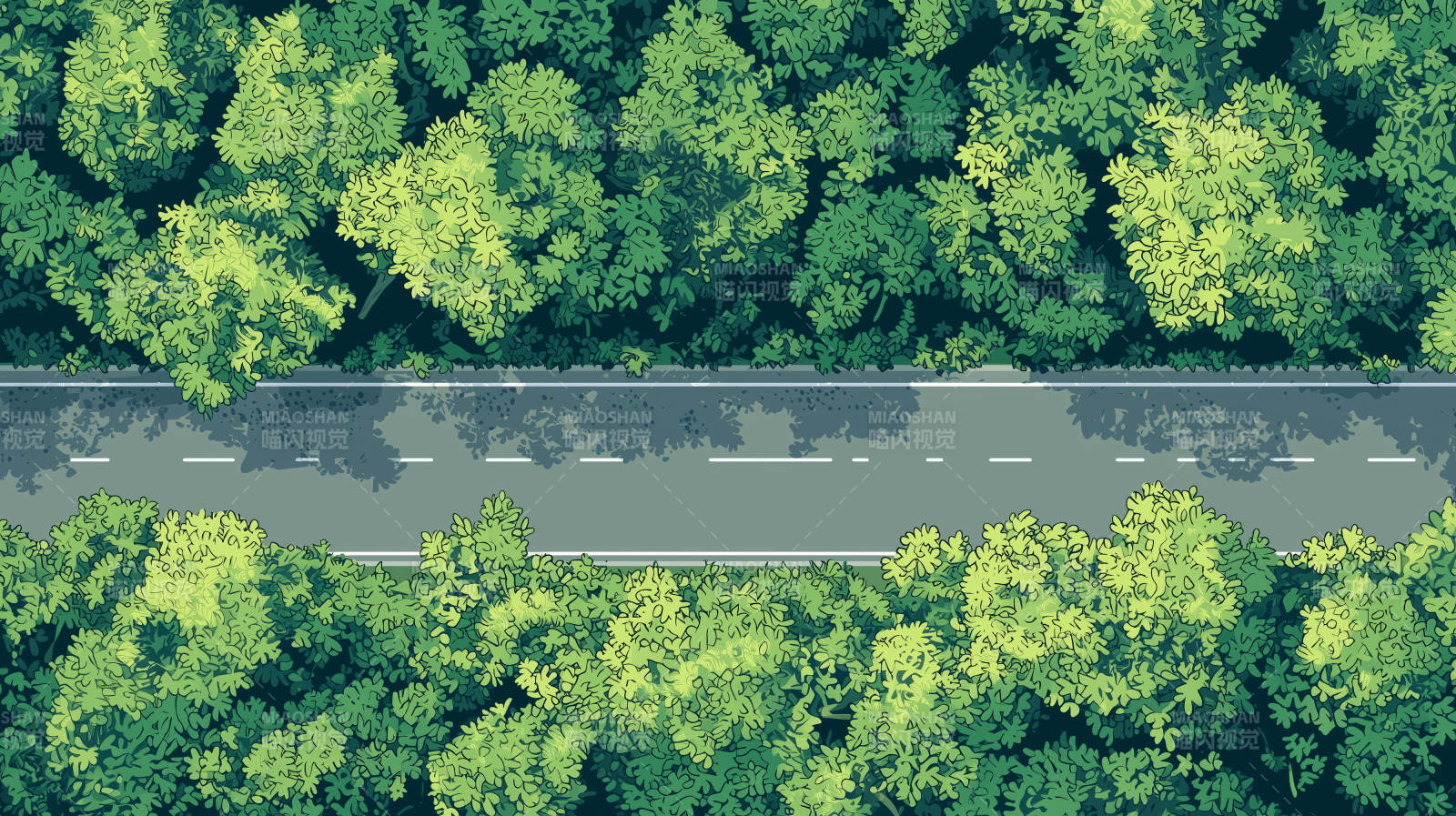 鸟瞰公路与树林图片