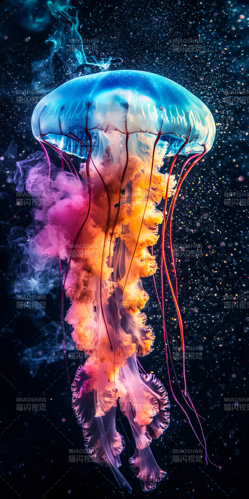 深海梦幻水母图片