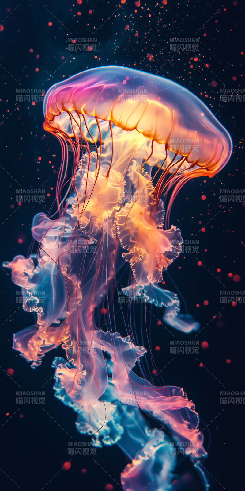 深海梦幻水母图片