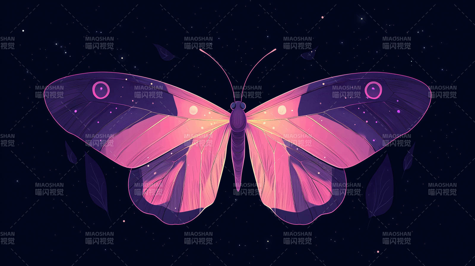 梦幻紫粉色飞蛾图片