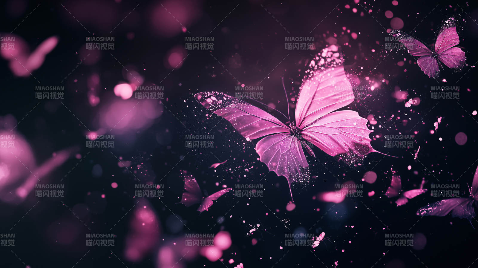 紫色蝴蝶的奇幻旅程图片