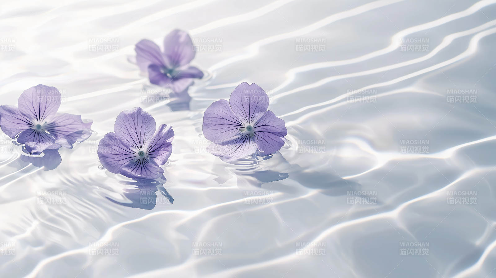 轻柔花瓣水面舞图片