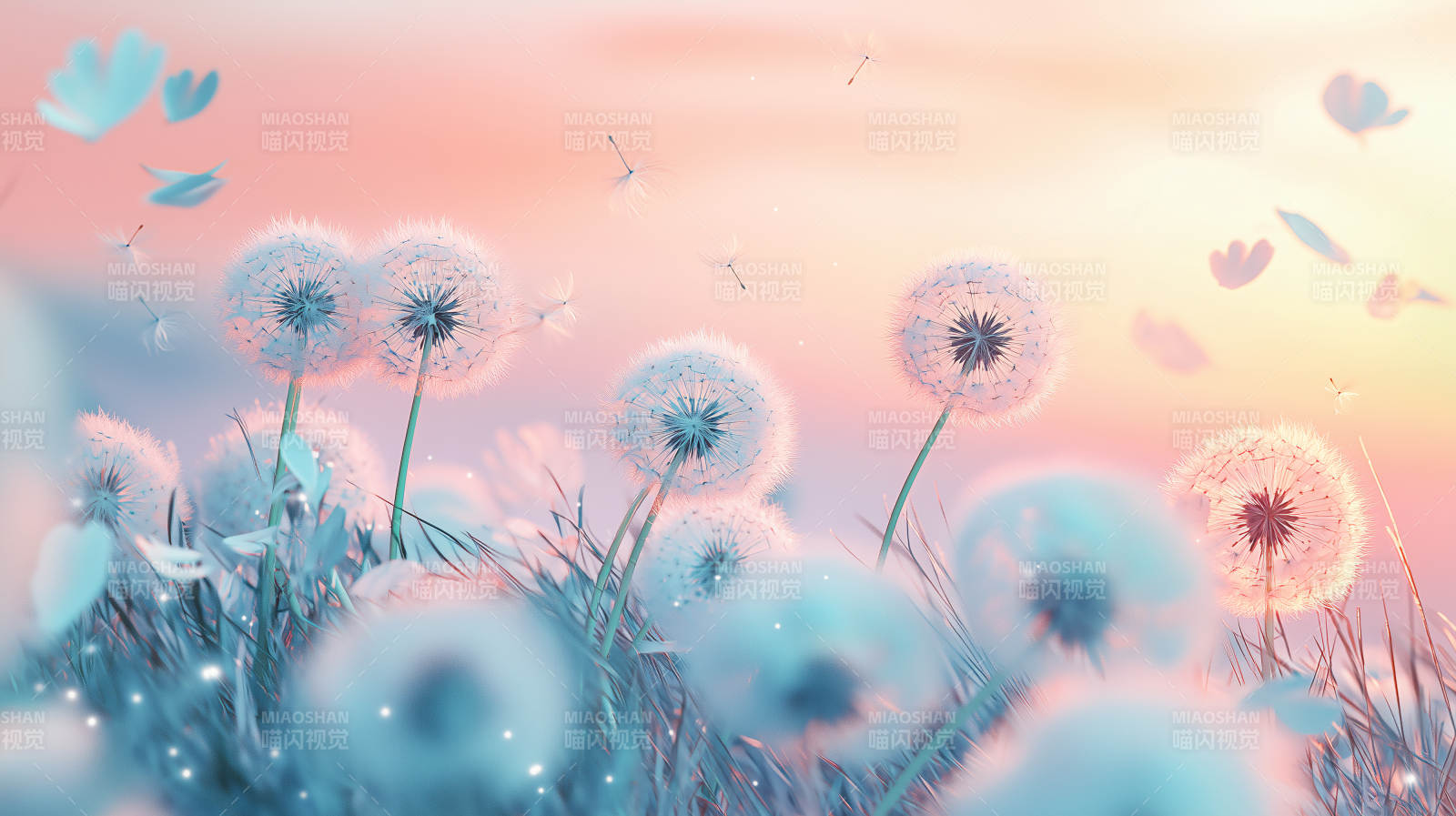 梦幻蒲公英田野图片