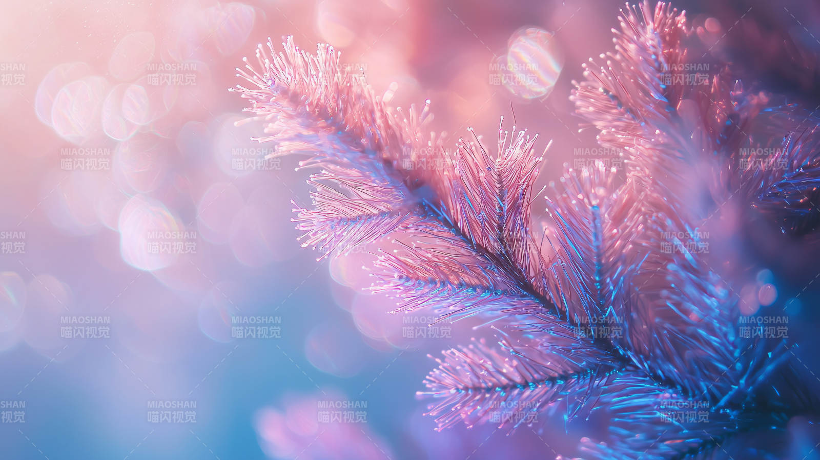 冰晶树枝的梦幻光影图片