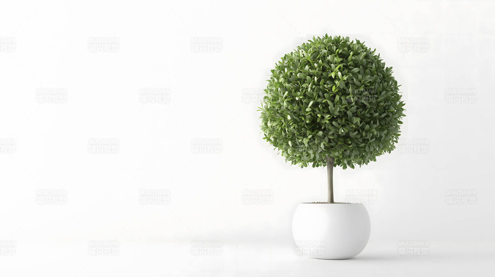 绿意盎然的球形树图片