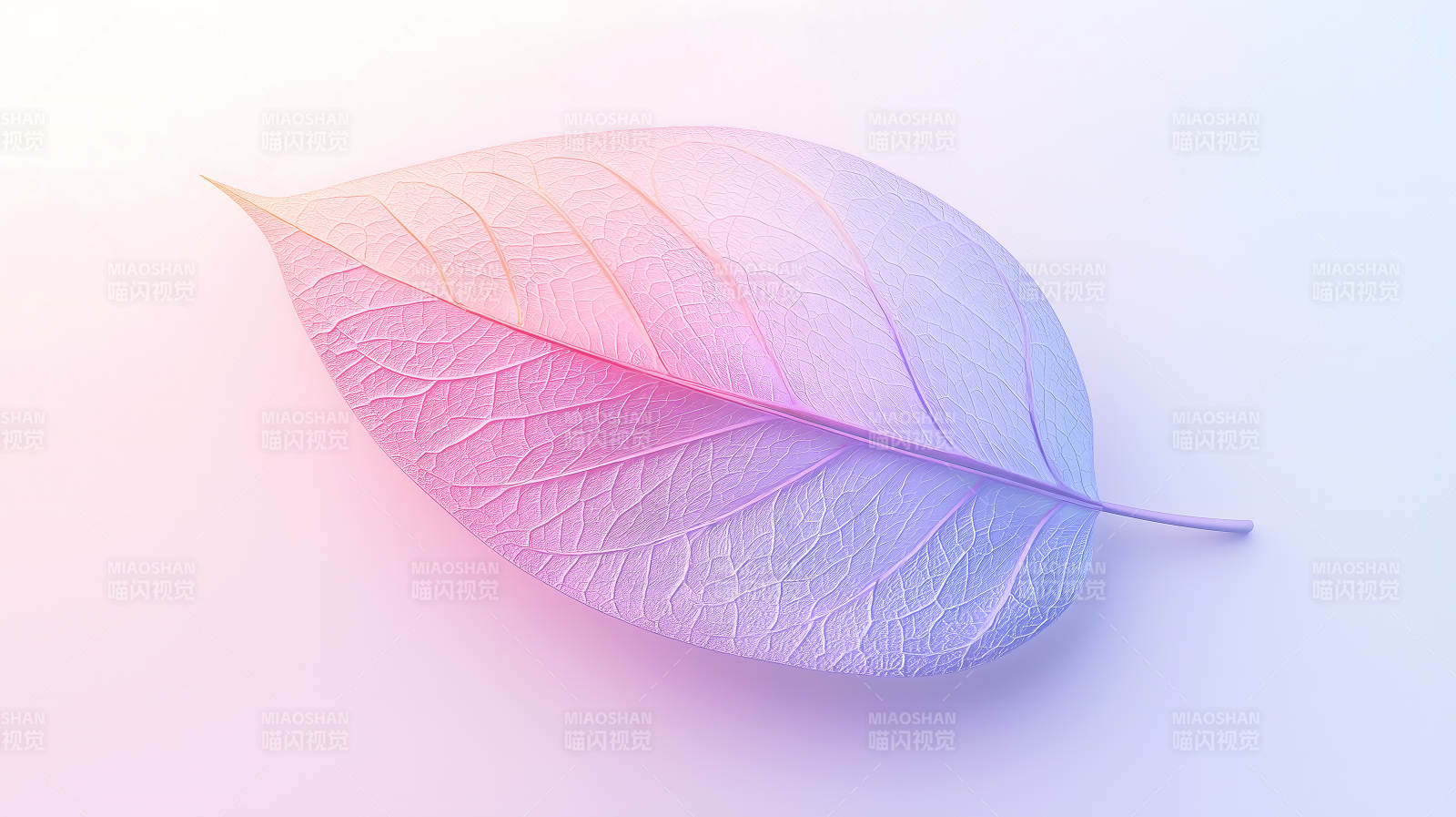 梦幻色彩的生命之叶图片