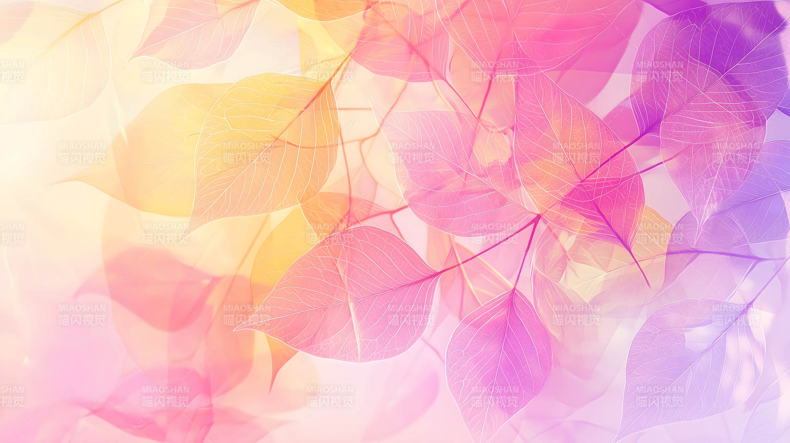 轻盈叶脉的色彩交响图片