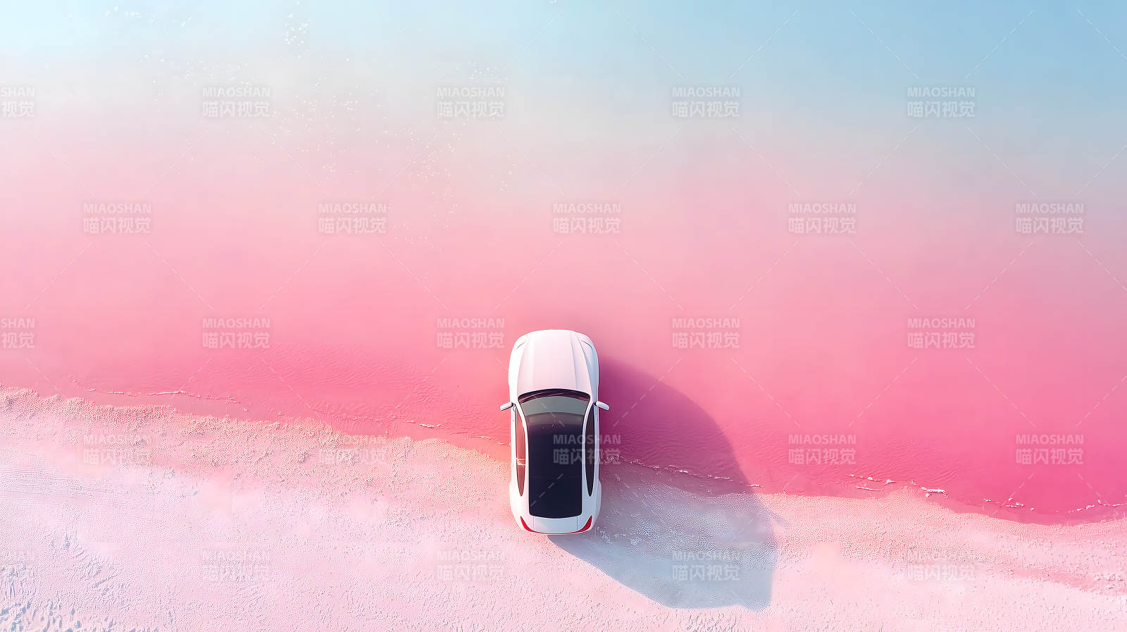 粉色盐湖上的纯白之旅图片