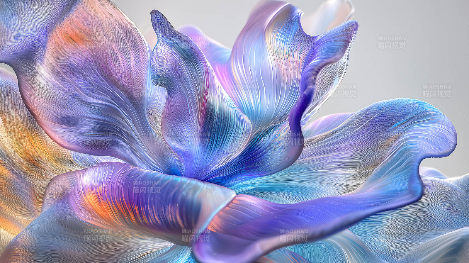 流光溢彩的抽象花瓣图片