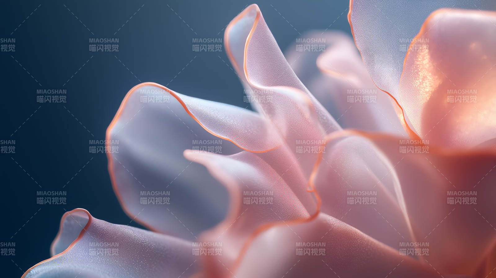 流光溢彩的抽象花瓣图片