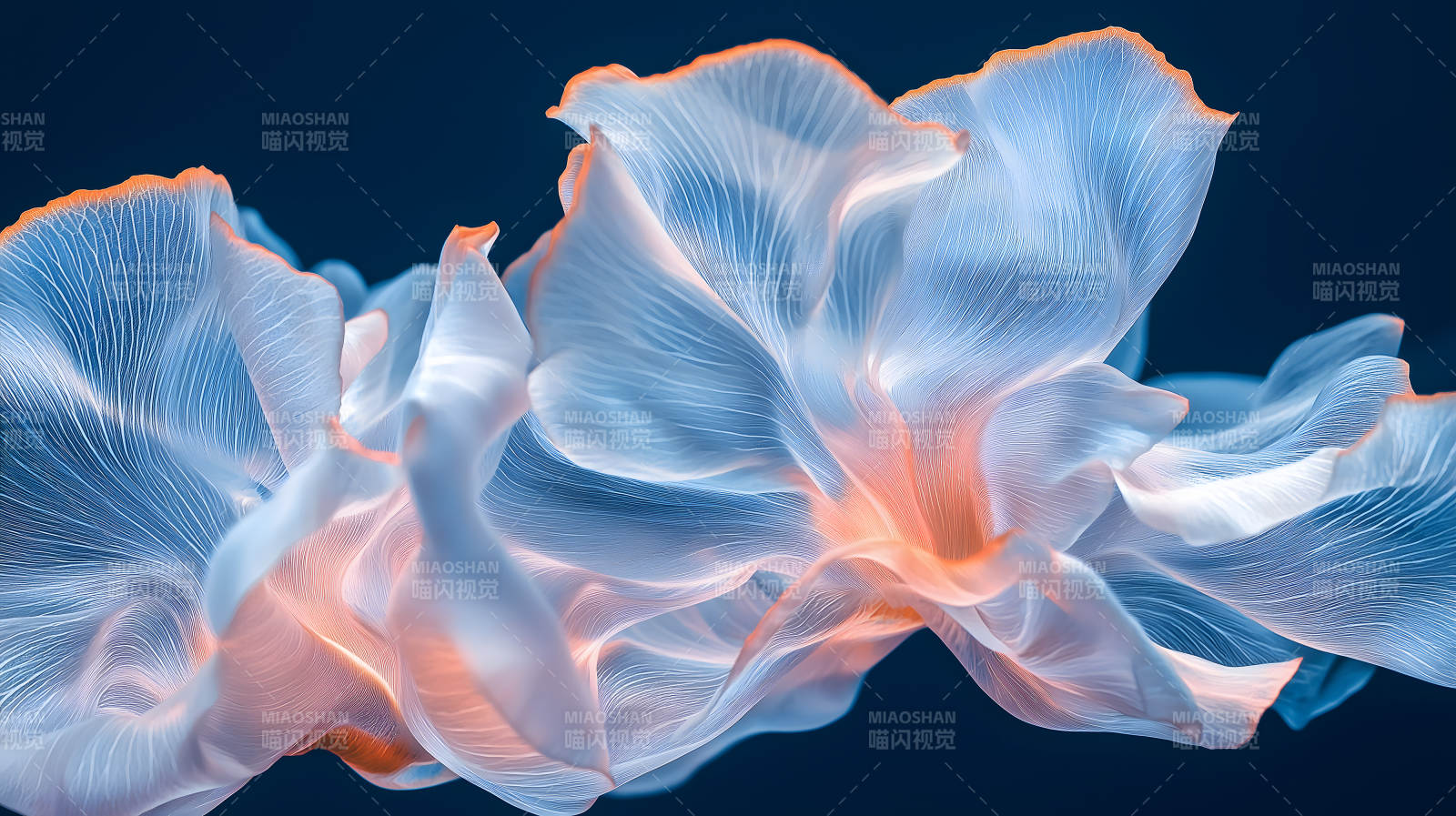 流光溢彩的抽象花瓣图片