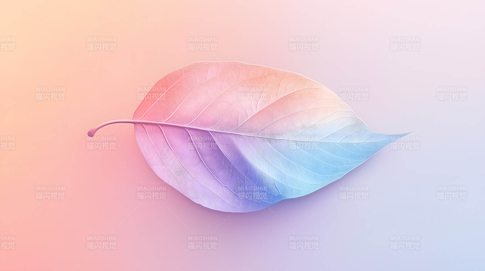 幻彩叶脉的轻盈之美图片