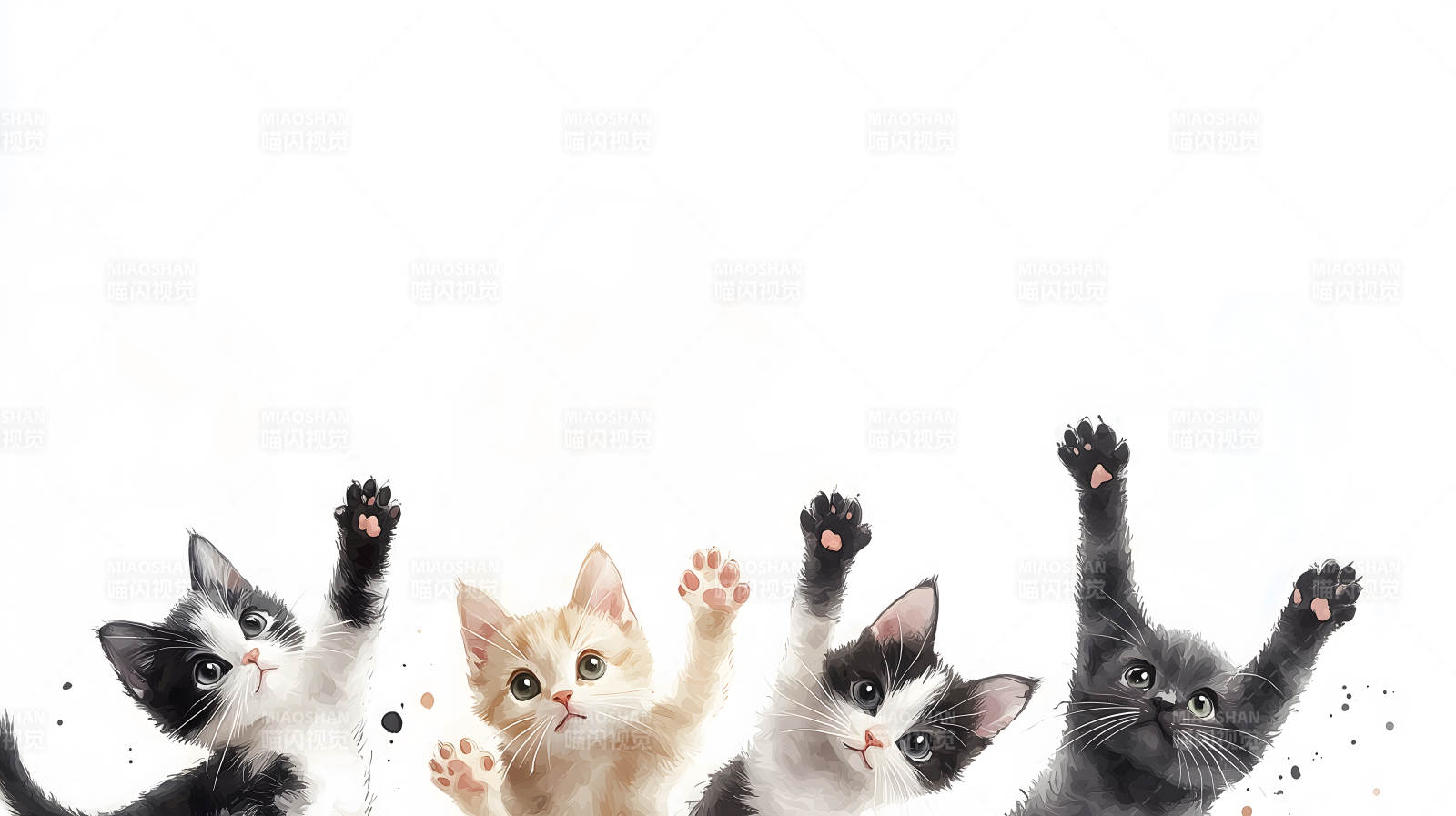 喵星人的可爱瞬间图片