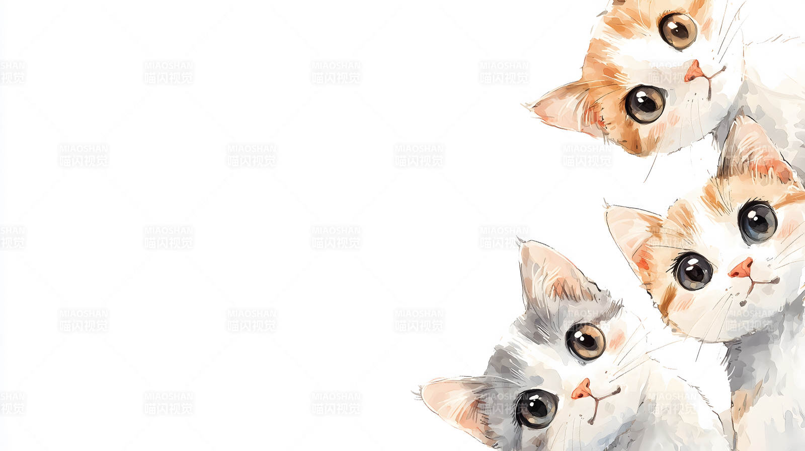 喵星人的可爱瞬间图片