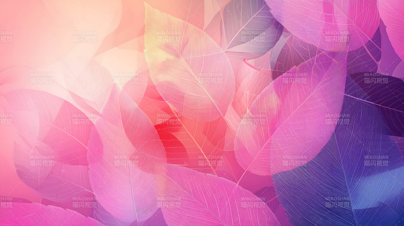 梦幻柔美的叶脉光影图片