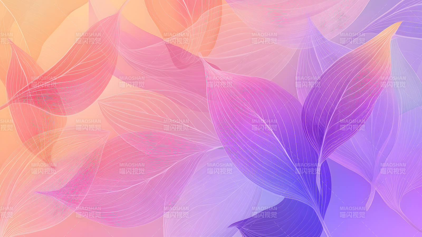 梦幻柔美的叶脉光影图片