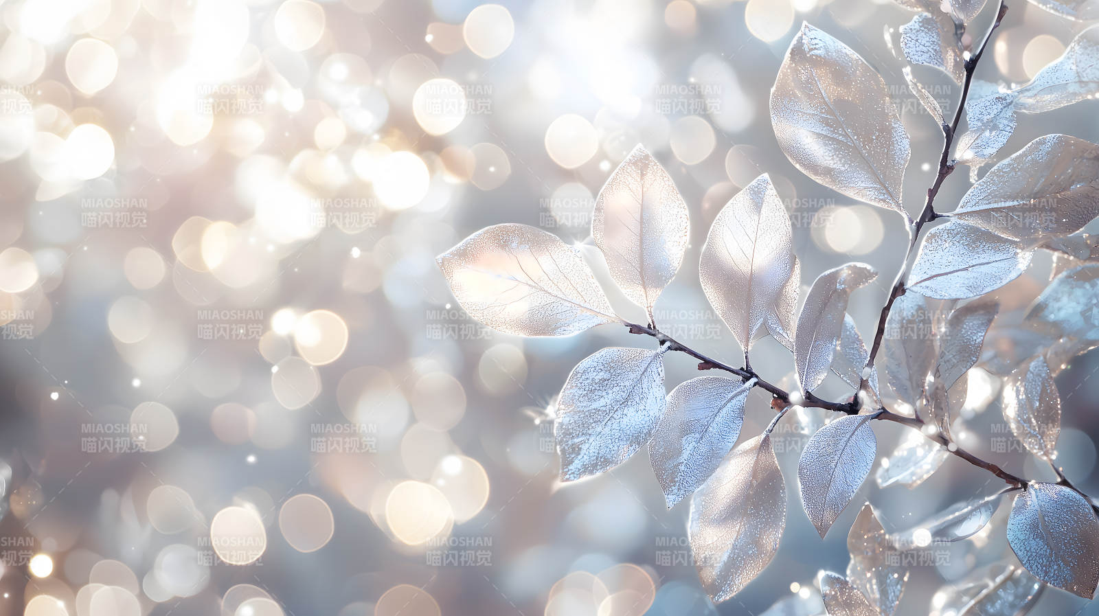 冰霜叶片上的光影诗意图片