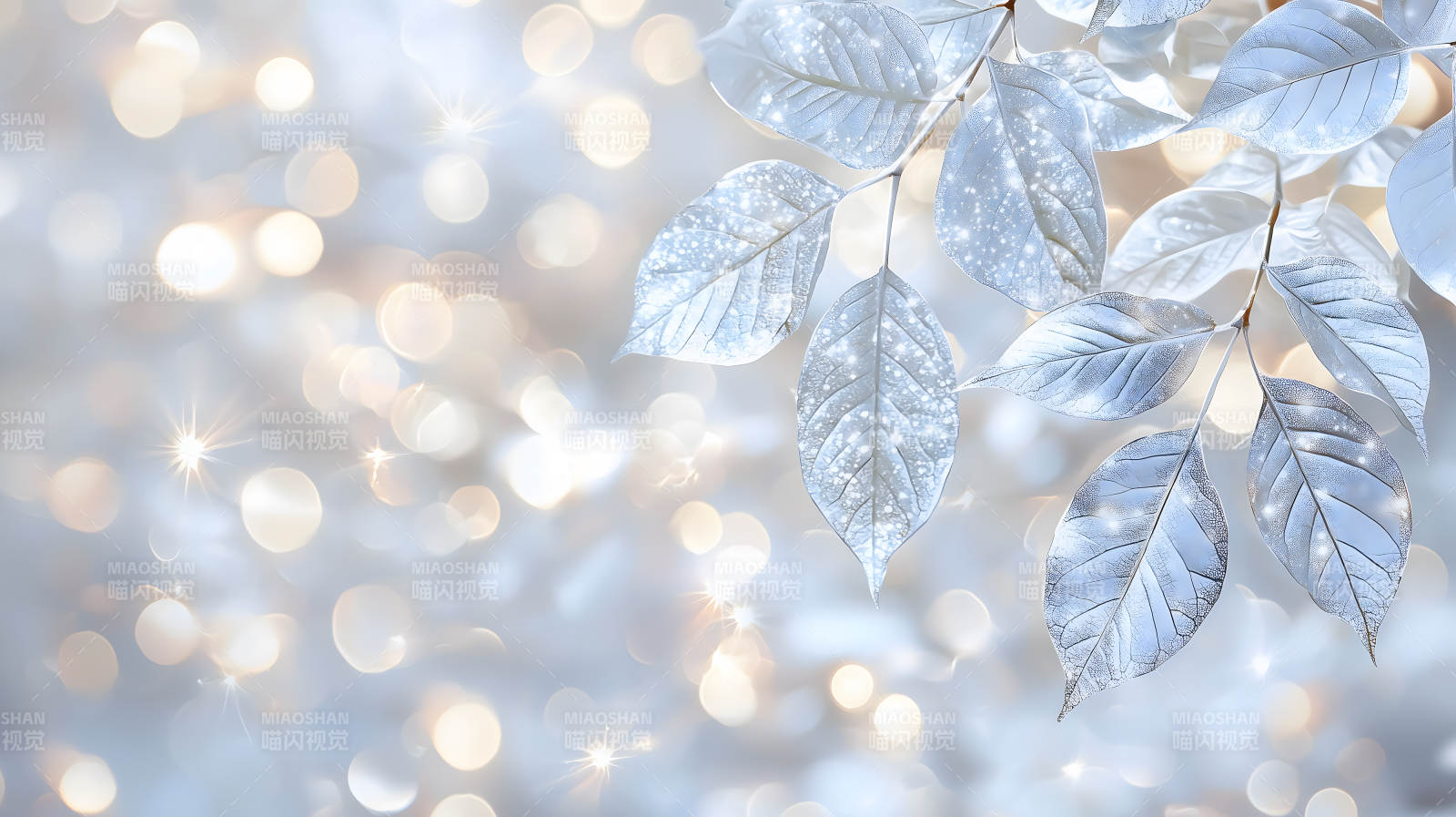 冰霜叶片上的光影诗意图片