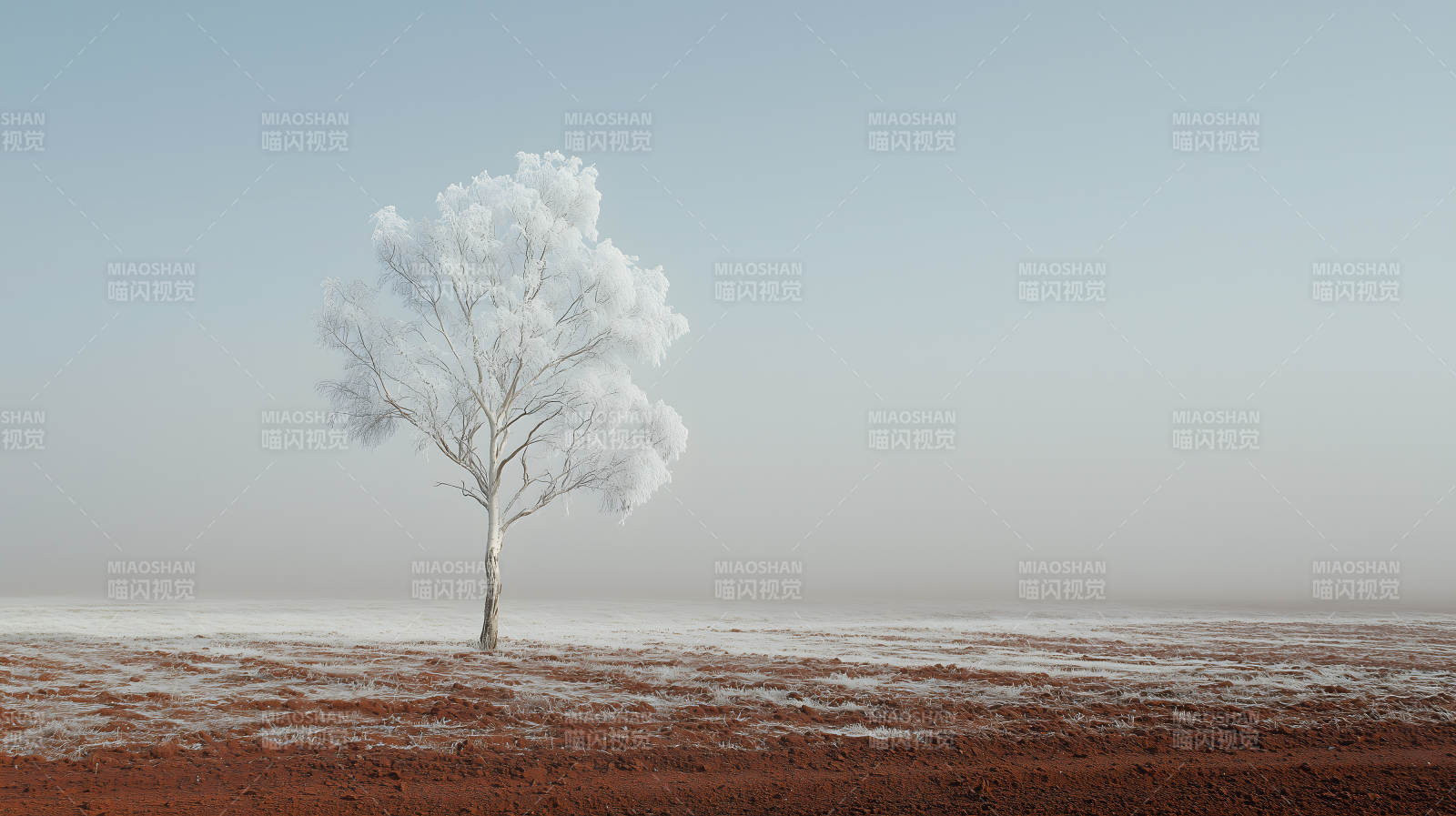 冬日田野的霜雪之歌图片