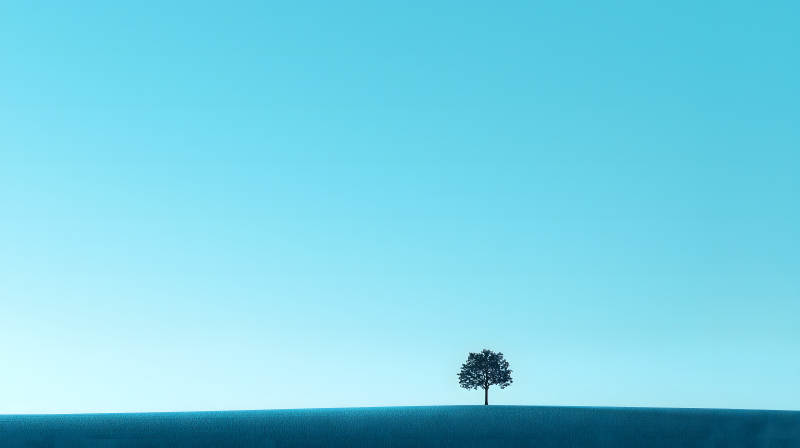 极简主义的孤独之树图片