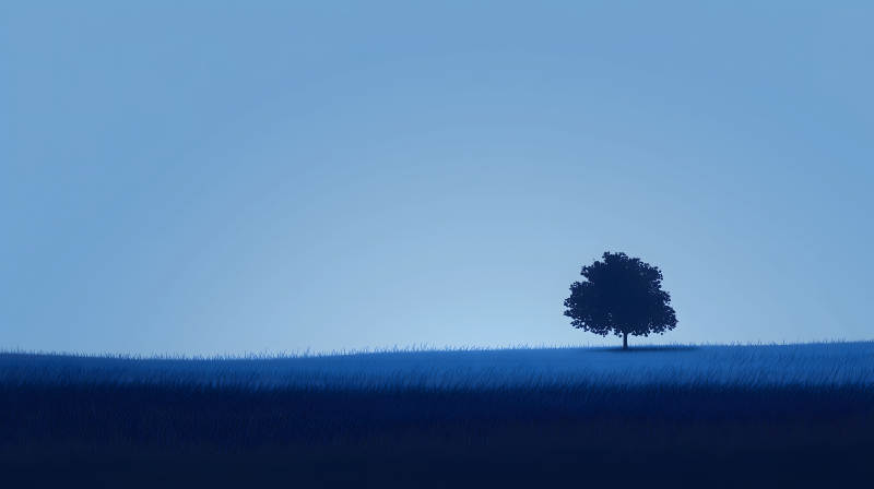极简主义的孤独之树图片