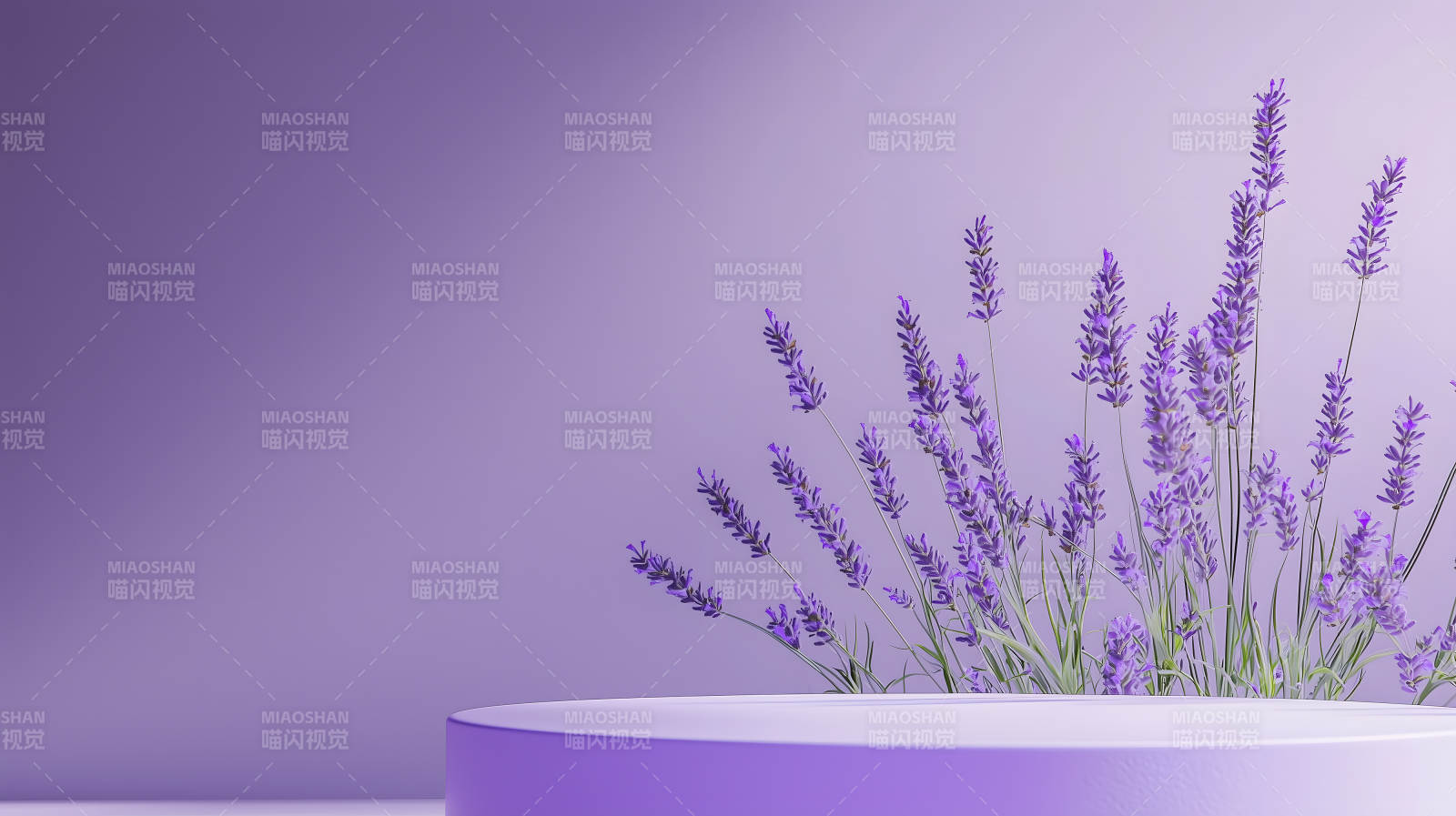 薰衣草与极简主义展台图片