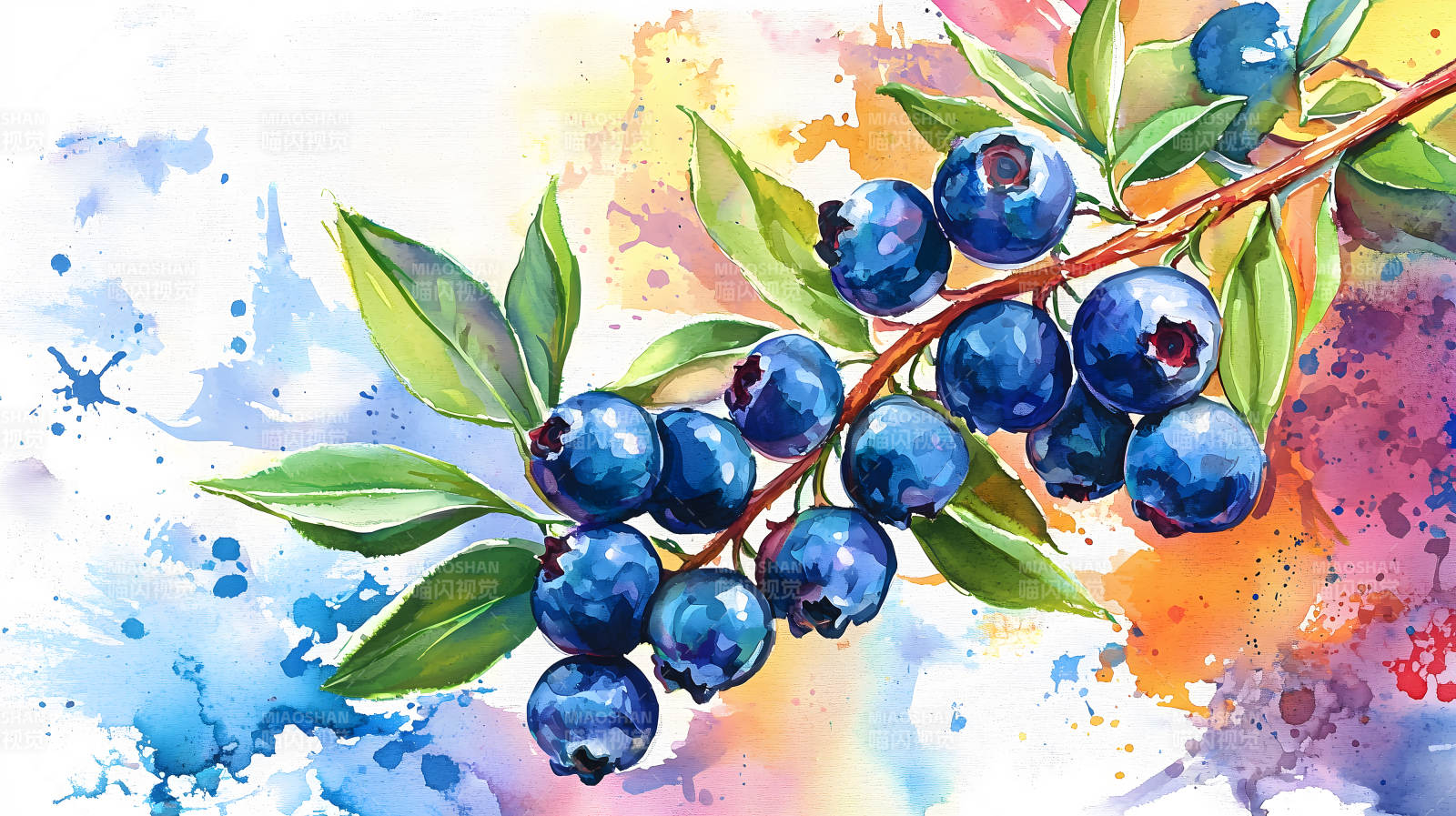 水彩蓝莓的清新画意图片